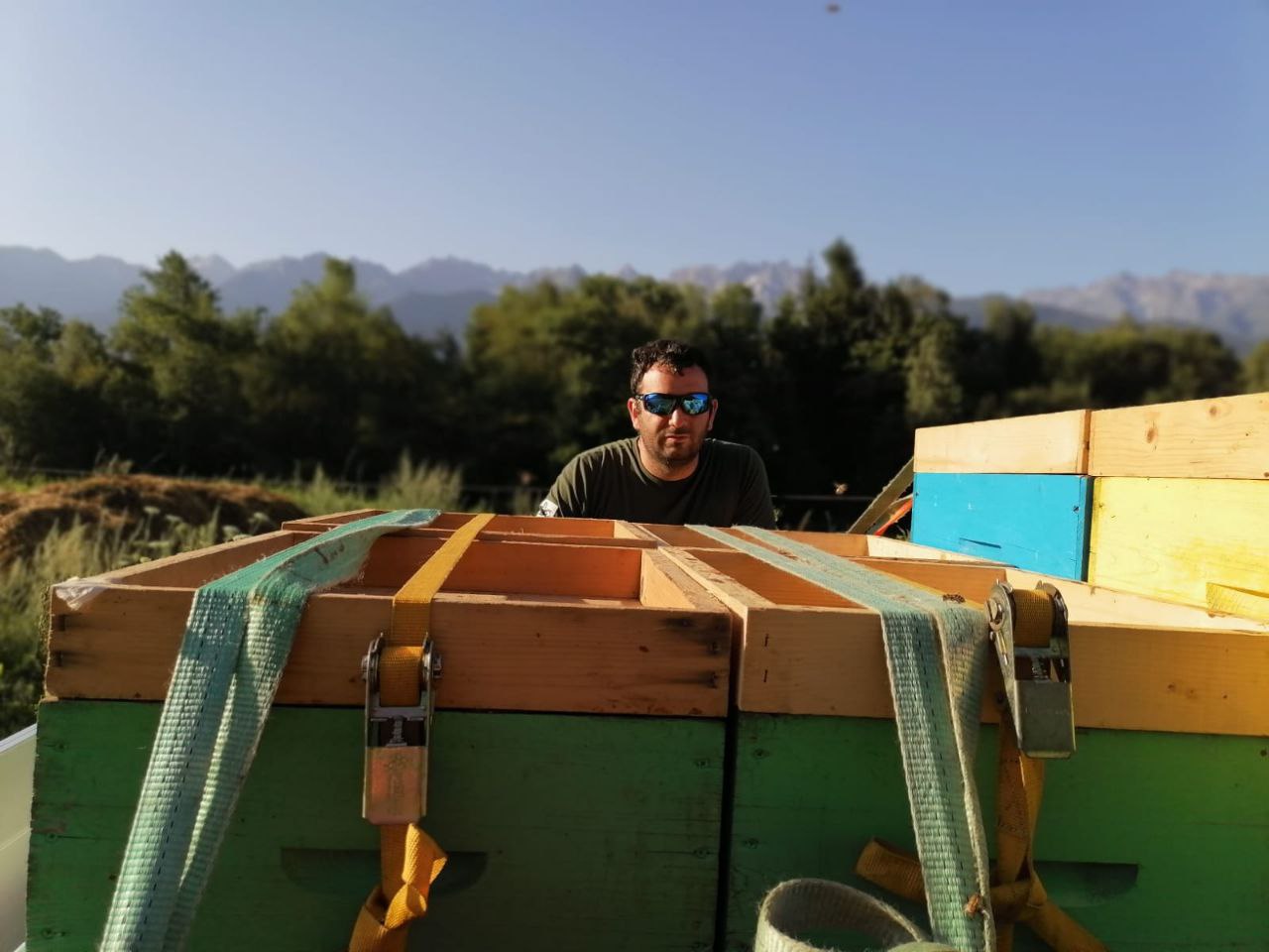 Apicoltore al lavoro